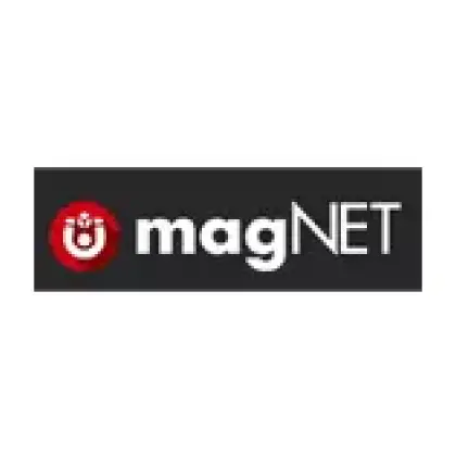 Magnet